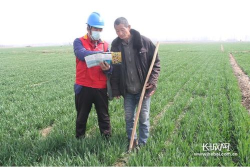 国网清河县供电公司 创建金牌VIP 服务农业排灌